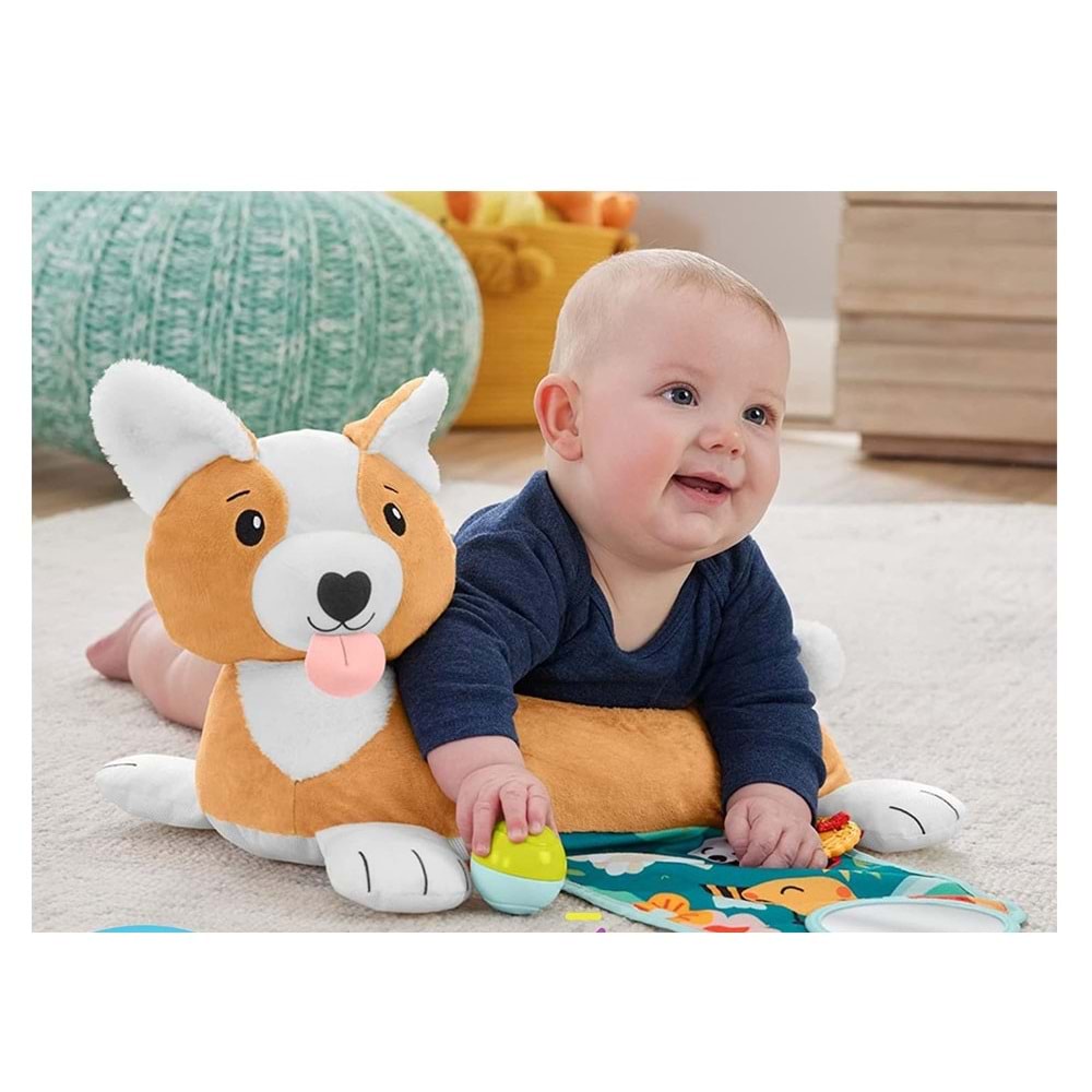 Fisher-Price 3'ü 1 Arada Köpekçik Uzanma Yastığı HJW10