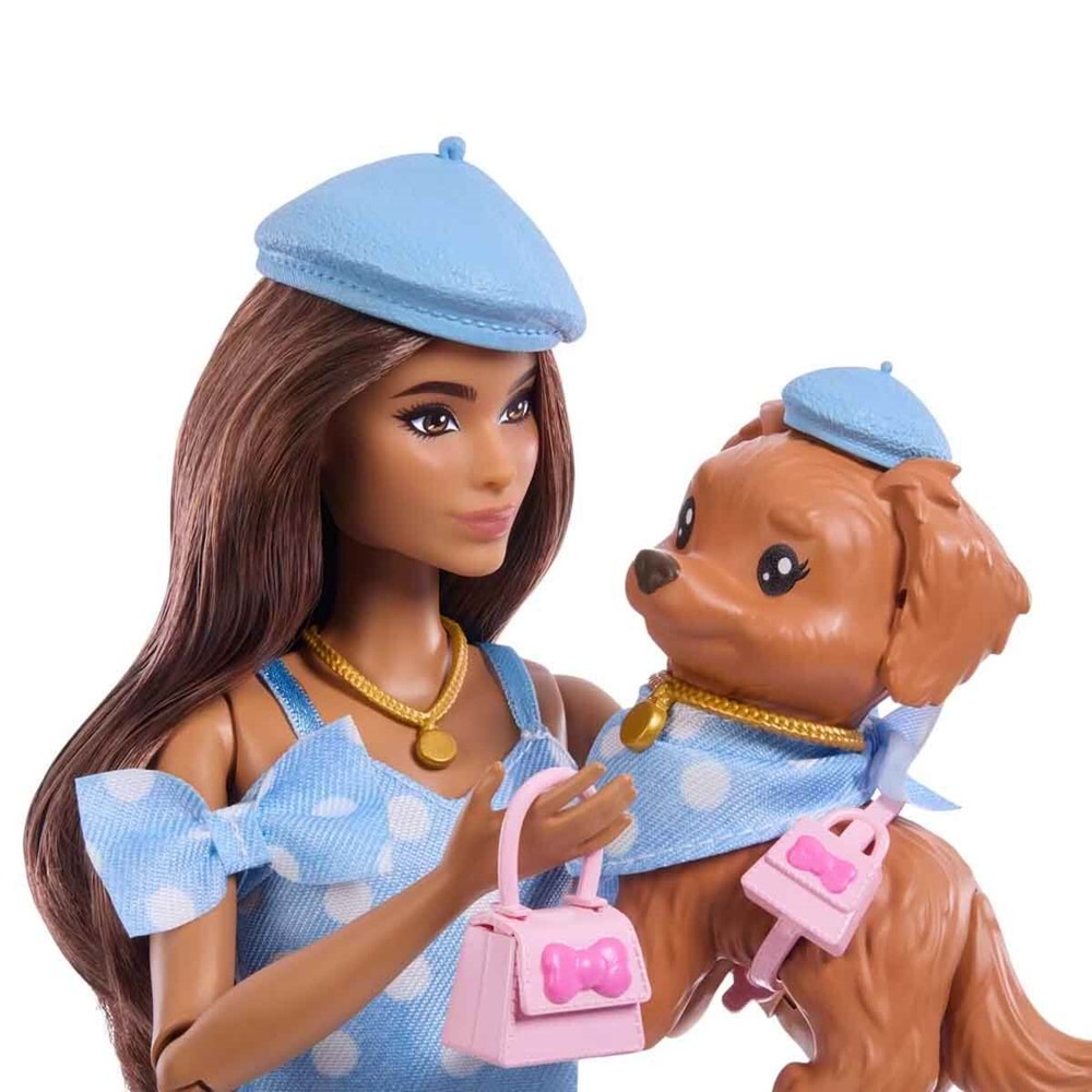 Barbie® Uyumlu Dostlar - Puantiye Teması JFP38
