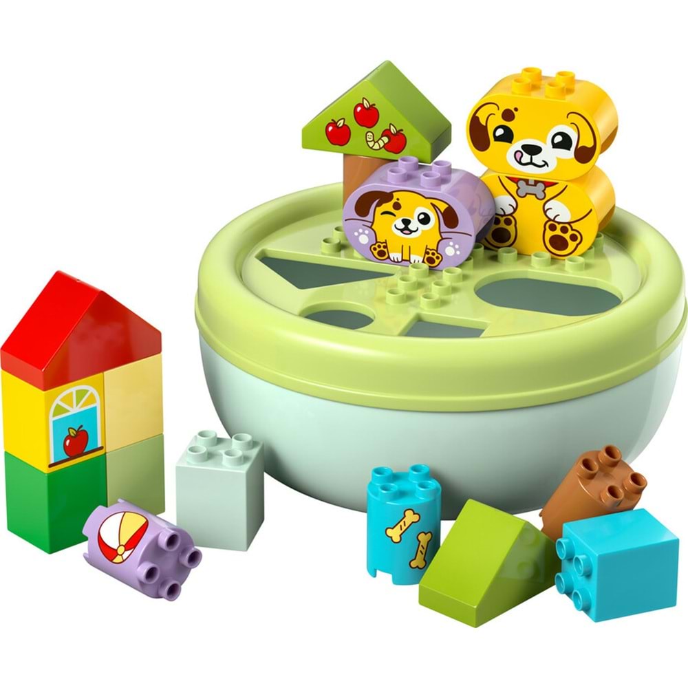 LEGO-10441 DUPLO® Şekil Ayırıcı: Köpek Evi