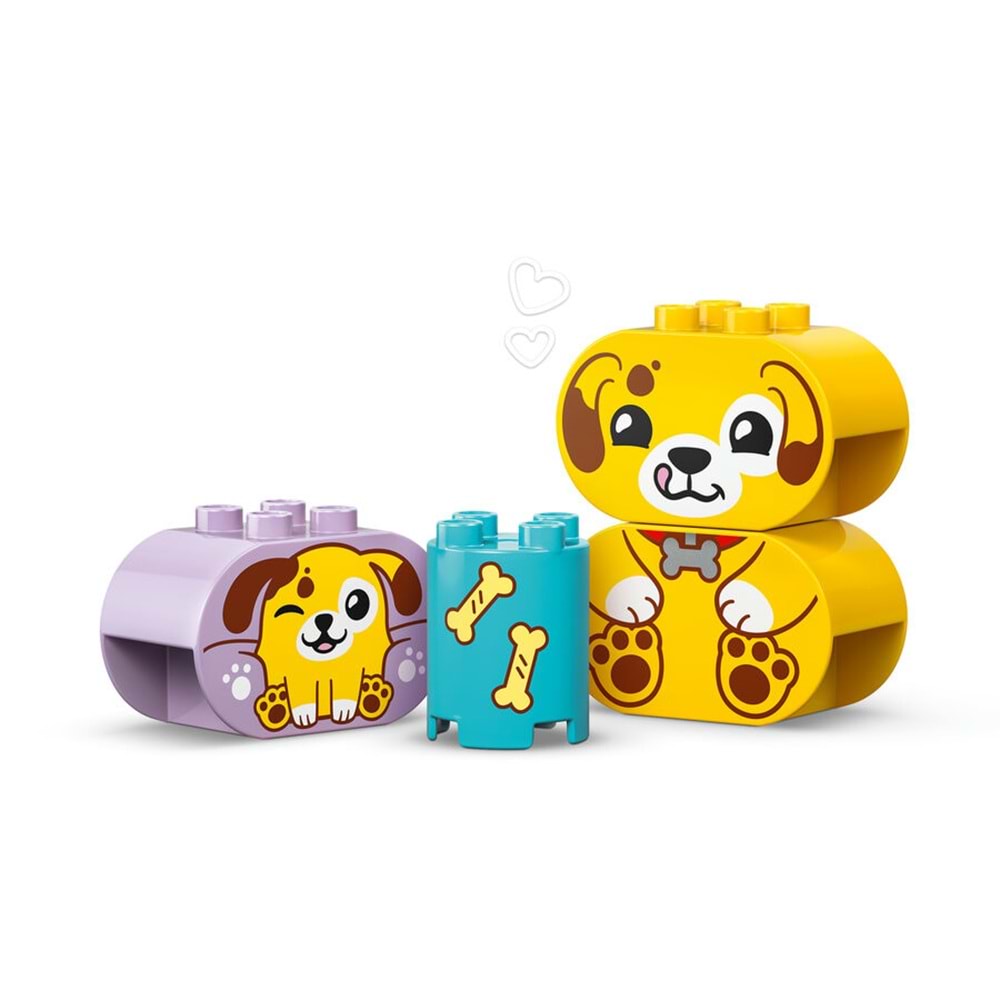 LEGO-10441 DUPLO® Şekil Ayırıcı: Köpek Evi