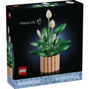 LEGO-11504 Botanicals Barış Çiçeği