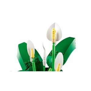 LEGO-11504 Botanicals Barış Çiçeği