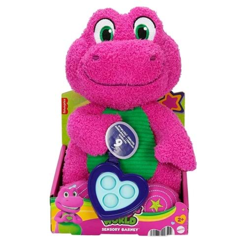 Fisher Price Barneys World Sensory Barney Peluş Oyuncak HYG89
