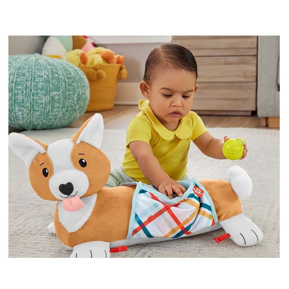 Fisher-Price 3'ü 1 Arada Köpekçik Uzanma Yastığı HJW10