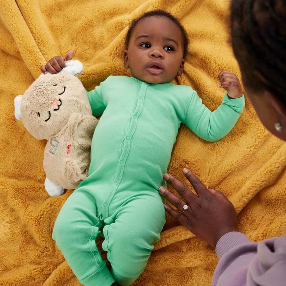 Fisher-Price® Uyku Arkadaşım Tavşancık HXG97