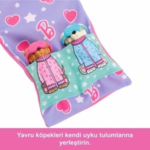 Barbie® ve Köpekçikleri Pijama Partisi HXN01