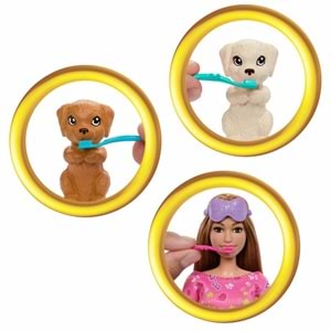 Barbie® ve Köpekçikleri Pijama Partisi HXN01