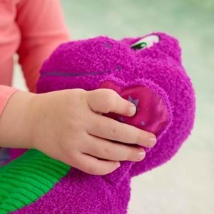 Fisher Price Barneys World Sensory Barney Peluş Oyuncak HYG89