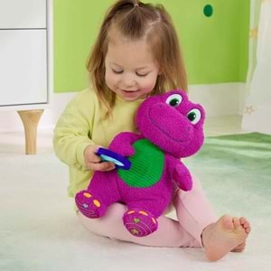 Fisher Price Barneys World Sensory Barney Peluş Oyuncak HYG89