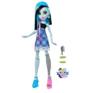 Monster High Gizemli Sırlar Serileri HYV64