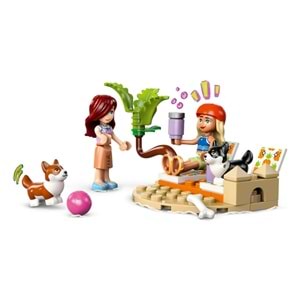 LEGO-42641 Friends Sörfçü Köpekler ve Scooter Macerası