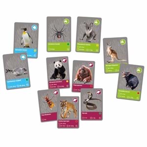 Clementoni-64093 Bilim ve Oyun Dünyadaki Hayvanların Tarihi 64093