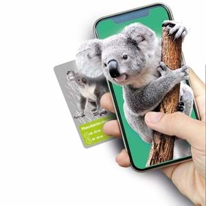 Clementoni-64093 Bilim ve Oyun Dünyadaki Hayvanların Tarihi 64093