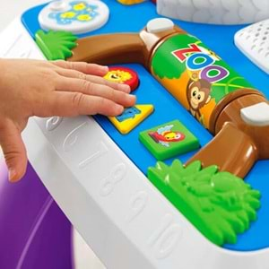 Fisher-Price® LnL Yaşa Göre Gelişim - Eğitici Köpekçiğin Aktivite Masası (Türkçe ve İngilizce) DRH44